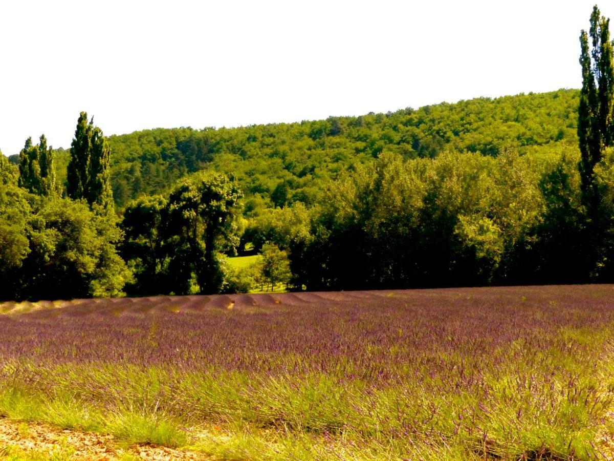 La Fontaine De Rocoule Hotel Rochefort-en-Valdaine Luaran gambar
